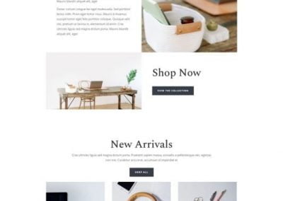 Online Store